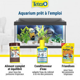 Tetra Aquarium Minions 54L - Kit Complet (Livré Avec 1 Figurine Minion, Une Affiche De Fond Et Un Jeu D'Autocollants)