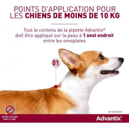 Advantix Chien Solution Antiparasitaire Tres Petite Race 1,5 A 4Kg 6 Pipettes