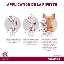 Advantix Chien Solution Antiparasitaire Tres Petite Race 1,5 A 4Kg 6 Pipettes