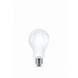 Philips Ampoule Led Equivalent 120W E27 Blanc Froid Non Dimmable, Verre