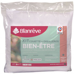 Kit Couette + Oreillers - Microfibre - Blanreve
