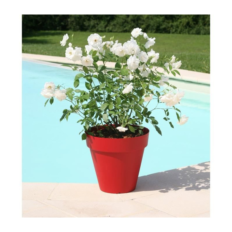 Riviera Pot De Fleurs Soleilla - Rond - Ø 60 X 53,6 Cm - Rouge