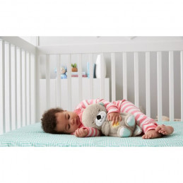 Fisher-Price - Ma Loutre Câlins Bonne Nuit - Jouet D'Eveil - Peluche Apaisante Pour Bébé - Lumiere Et Musique - Des La Naissance